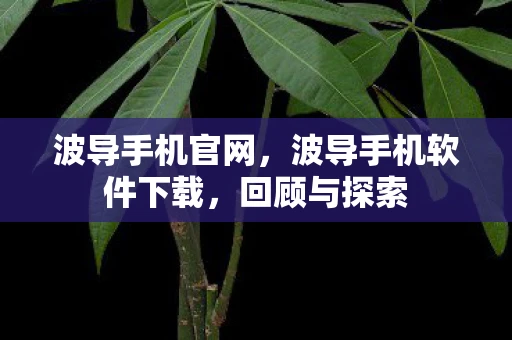 波导手机官网,波导手机软件下载,回顾与探索 波导手机官网,波导手机软件下载,回顾与探索
