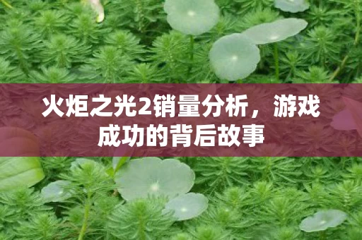 火炬之光2销量分析图片