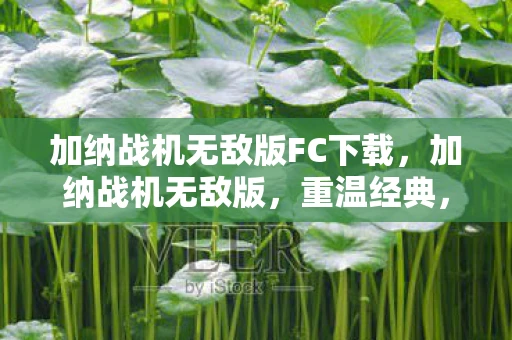 加纳战机无敌版FC下载，加纳战机无敌版，重温经典，挑战极限