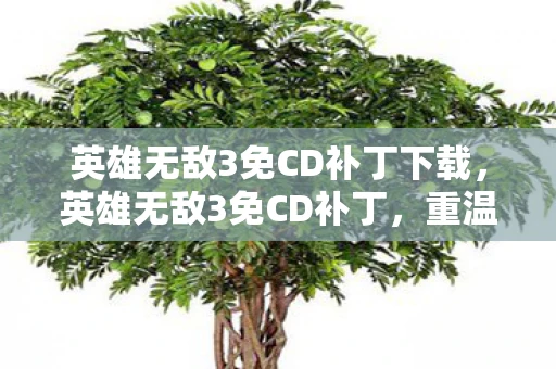 英雄无敌3免CD补丁下载，英雄无敌3免CD补丁，重温经典游戏的便捷之道