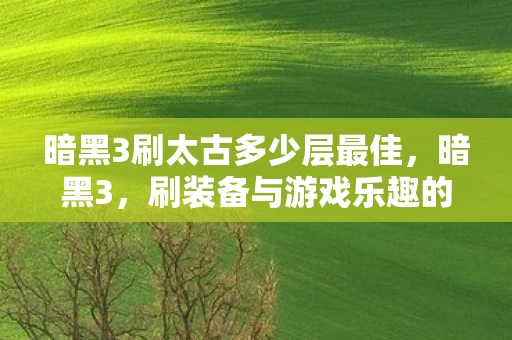 暗黑3刷太古多少层最佳,暗黑3,刷装备与游戏乐趣的平衡 暗黑3刷太古多少层最佳,暗黑3,刷装备与游戏乐趣的平衡
