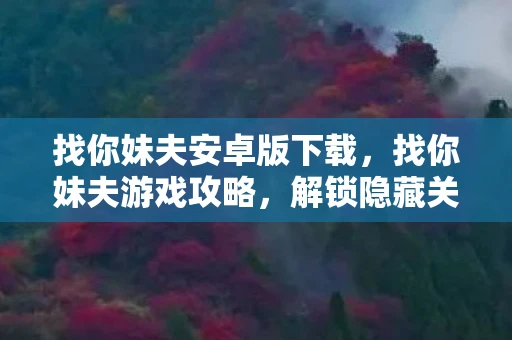 找你妹夫安卓版下载，找你妹夫游戏攻略，解锁隐藏关卡，成为游戏高手！