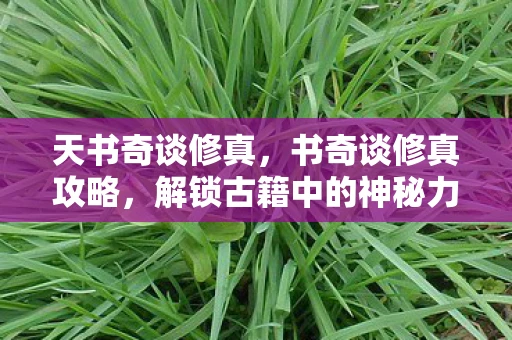 天书奇谈修真，书奇谈修真攻略，解锁古籍中的神秘力量