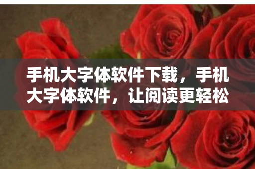 手机大字体软件下载，手机大字体软件，让阅读更轻松