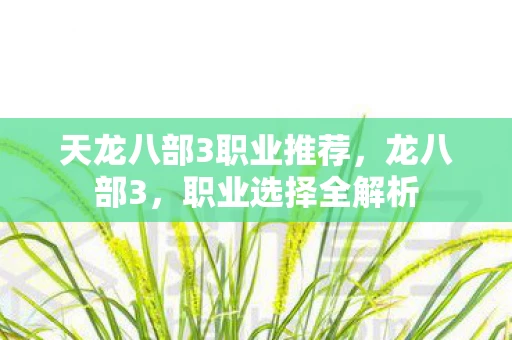 天龙八部3职业推荐，龙八部3，职业选择全解析