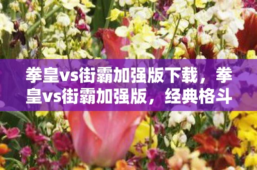 拳皇vs街霸加强版下载，拳皇vs街霸加强版，经典格斗游戏的巅峰对决