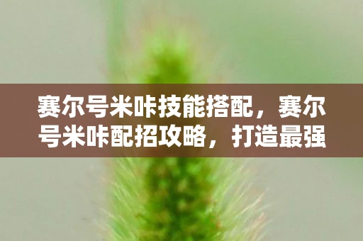 赛尔号米咔技能搭配，赛尔号米咔配招攻略，打造最强战斗阵容