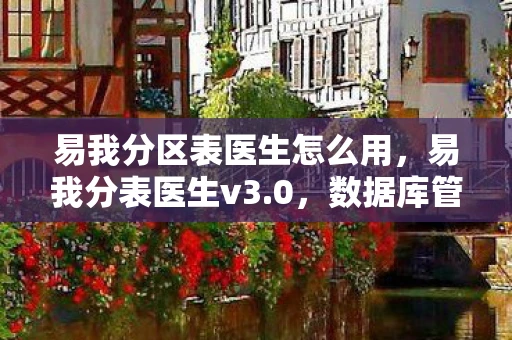 易我分区表医生怎么用，易我分表医生v3.0，数据库管理的智能助手