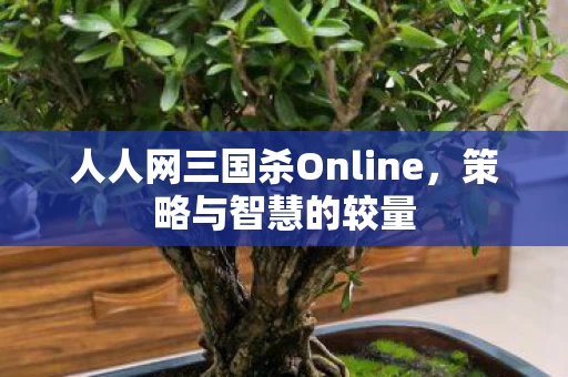 人人网三国杀Online图片