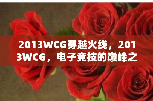 2013WCG穿越火线，2013WCG，电子竞技的巅峰之战