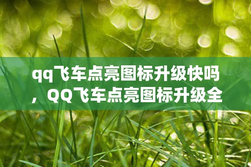 qq飞车点亮图标升级快吗,QQ飞车点亮图标升级全攻略,从新手到高手的飞跃 qq飞车点亮图标升级快吗,QQ飞车点亮图标升级全攻略,从新手到高手的飞跃