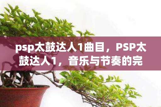 psp太鼓达人1曲目，PSP太鼓达人1，音乐与节奏的完美融合