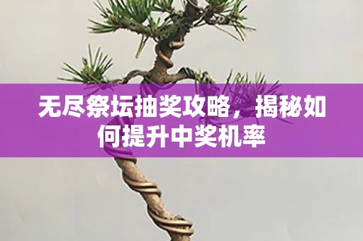 揭秘如何提升中奖机率图片