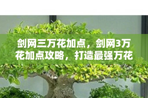 剑网三万花加点，剑网3万花加点攻略，打造最强万花职业