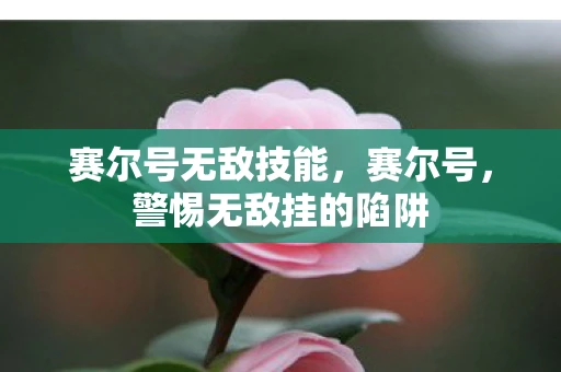 赛尔号无敌技能,赛尔号,警惕无敌挂的陷阱 赛尔号无敌技能,赛尔号,警惕无敌挂的陷阱