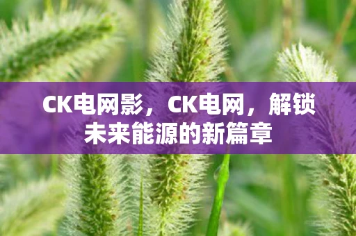 CK电网影,CK电网,解锁未来能源的新篇章 CK电网影,CK电网,解锁未来能源的新篇章