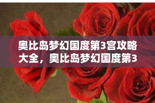 奥比岛梦幻国度第3宫攻略大全，奥比岛梦幻国度第3宫攻略