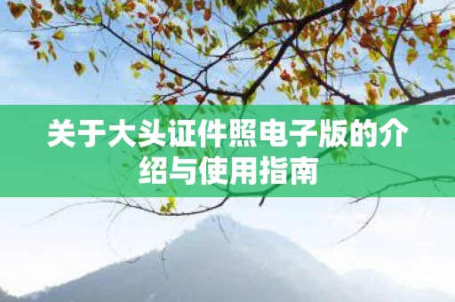 关于大头证件照电子版的介绍与使用指南图片
