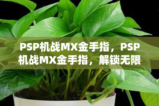 PSP机战MX金手指,PSP机战MX金手指,解锁无限可能的战斗体验 PSP机战MX金手指,PSP机战MX金手指,解锁无限可能的战斗体验