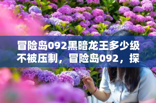 冒险岛092黑暗龙王多少级不被压制，冒险岛092，探索未知，挑战自我