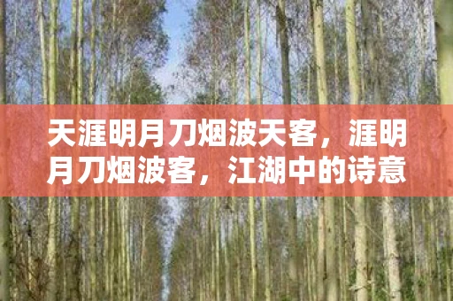 天涯明月刀烟波天客,涯明月刀烟波客,江湖中的诗意与剑影 天涯明月刀烟波天客,涯明月刀烟波客,江湖中的诗意与剑影