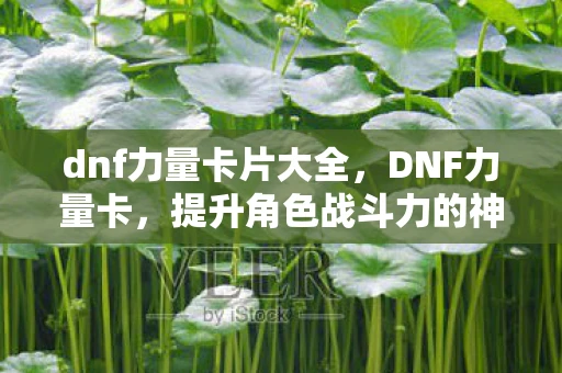 dnf力量卡片大全，DNF力量卡，提升角色战斗力的神秘卡片