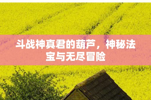神秘法宝与无尽冒险图片
