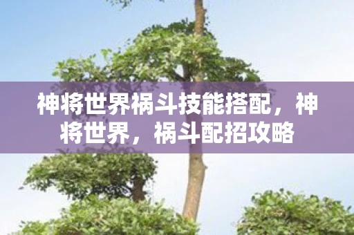 神将世界祸斗技能搭配，神将世界，祸斗配招攻略