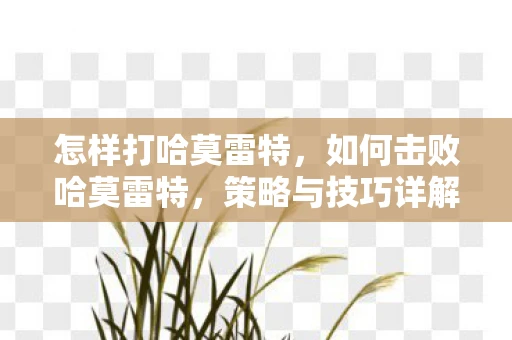 怎样打哈莫雷特,如何击败哈莫雷特,策略与技巧详解 怎样打哈莫雷特,如何击败哈莫雷特,策略与技巧详解