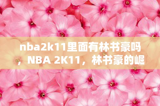 nba2k11里面有林书豪吗，NBA 2K11，林书豪的崛起之路