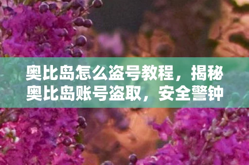 奥比岛怎么盗号教程,揭秘奥比岛账号盗取,安全警钟长鸣 奥比岛怎么盗号教程,揭秘奥比岛账号盗取,安全警钟长鸣