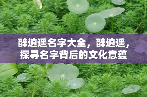 醉逍遥名字大全，醉逍遥，探寻名字背后的文化意蕴
