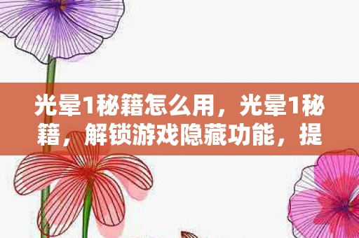 光晕1秘籍怎么用，光晕1秘籍，解锁游戏隐藏功能，提升游戏体验
