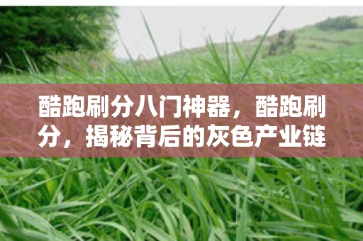 酷跑刷分八门神器，酷跑刷分，揭秘背后的灰色产业链