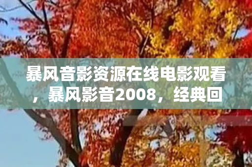 暴风音影资源在线电影观看，暴风影音2008，经典回忆与时代的变迁