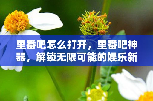 里番吧怎么打开,里番吧神器,解锁无限可能的娱乐新选择 里番吧怎么打开,里番吧神器,解锁无限可能的娱乐新选择