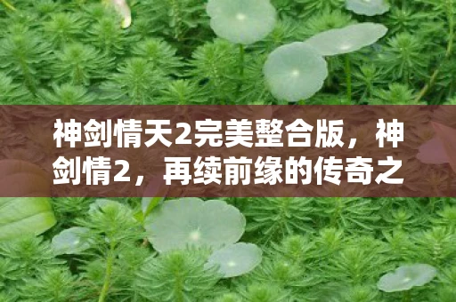 神剑情天2完美整合版,神剑情2,再续前缘的传奇之旅 神剑情天2完美整合版,神剑情2,再续前缘的传奇之旅
