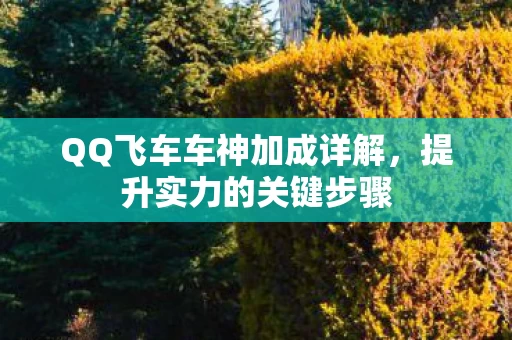 QQ飞车车神加成详解图片