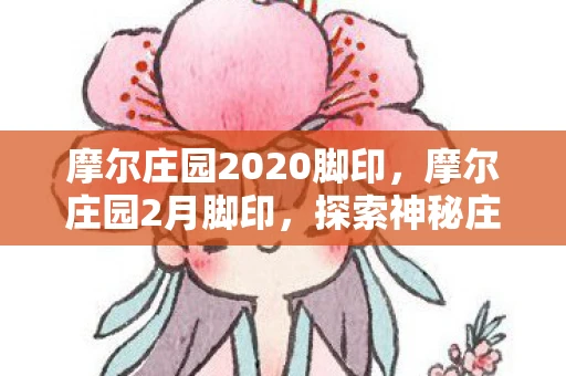 摩尔庄园2020脚印，摩尔庄园2月脚印，探索神秘庄园的奇妙之旅