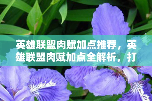 英雄联盟肉赋加点推荐，英雄联盟肉赋加点全解析，打造坚不可摧的坦克英雄