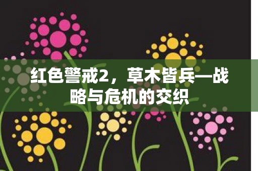 战略与危机的交织图片