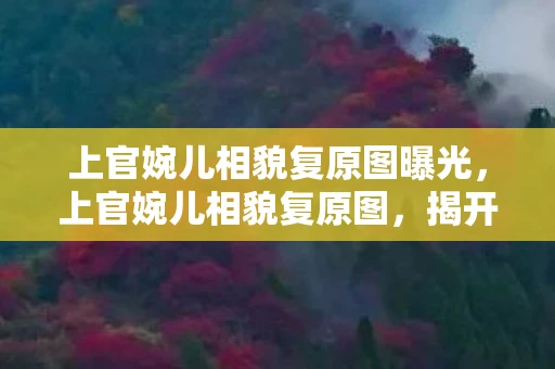 上官婉儿相貌复原图曝光，上官婉儿相貌复原图，揭开历史女神的神秘面纱