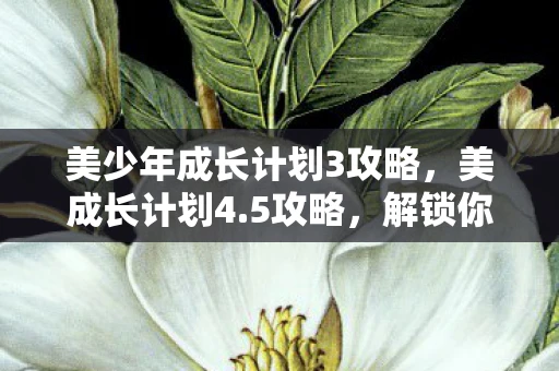 美少年成长计划3攻略，美成长计划4.5攻略，解锁你的美丽与成长潜能