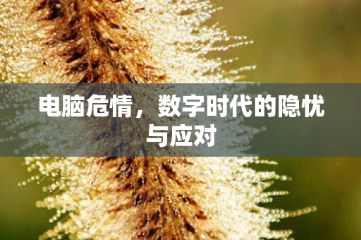 电脑危情，数字时代的隐忧与应对