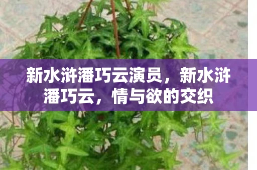新水浒潘巧云演员，新水浒潘巧云，情与欲的交织