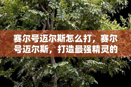 赛尔号迈尔斯怎么打，赛尔号迈尔斯，打造最强精灵的攻略