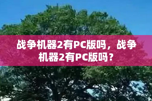 战争机器2有PC版吗，战争机器2有PC版吗？