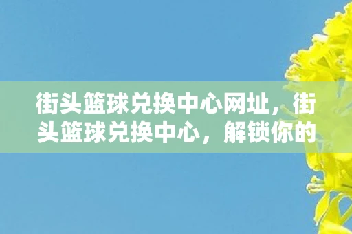 街头篮球兑换中心网址，街头篮球兑换中心，解锁你的篮球梦想