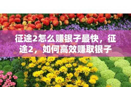 征途2怎么赚银子最快,征途2,如何高效赚取银子 征途2怎么赚银子最快,征途2,如何高效赚取银子