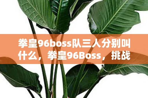 拳皇96boss队三人分别叫什么，拳皇96Boss，挑战经典，重温传奇